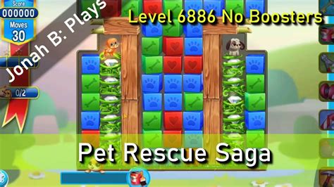 pet rescue 6886